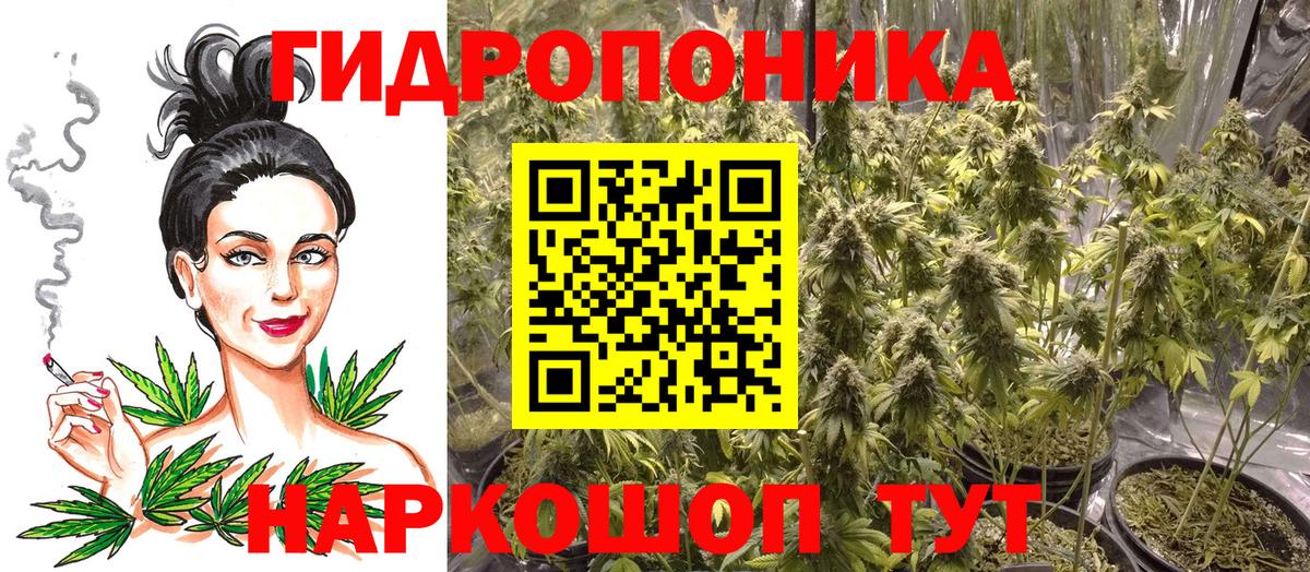 Бошки марихуана конопля Владимир
